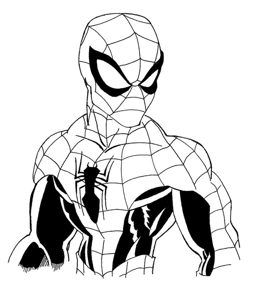 850x939 Spider Man Inks By Blaze Belushi