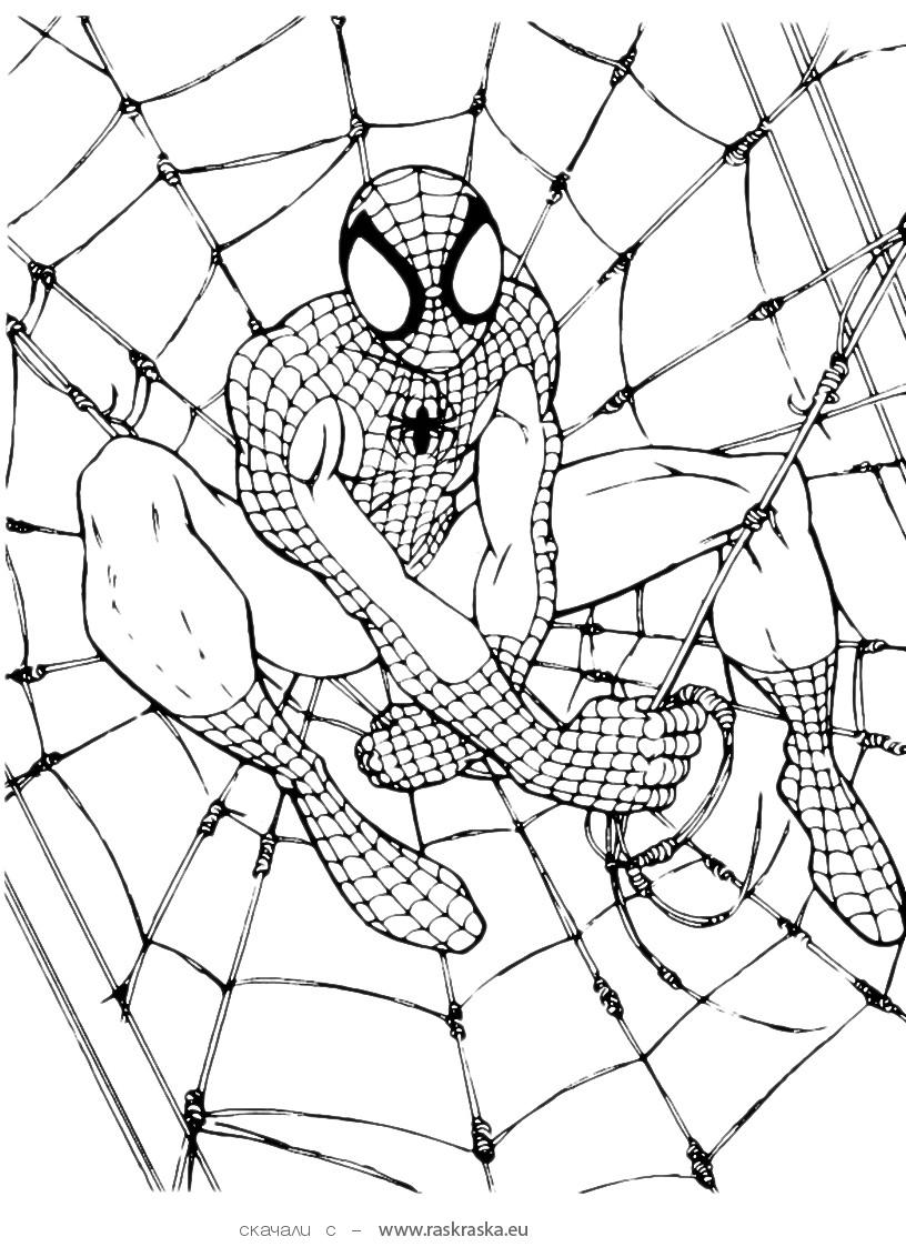 816x1123 Amazing Spiderman Printable Coloring Pages 25 For Your Line