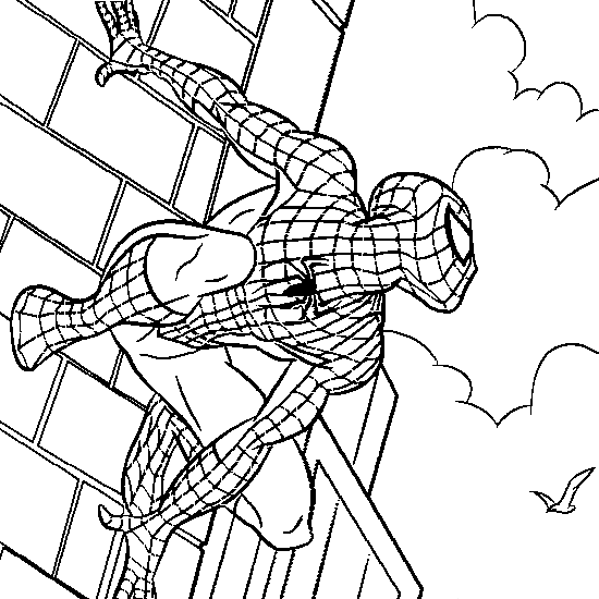 Spider Man Line Drawing at GetDrawings | Free download