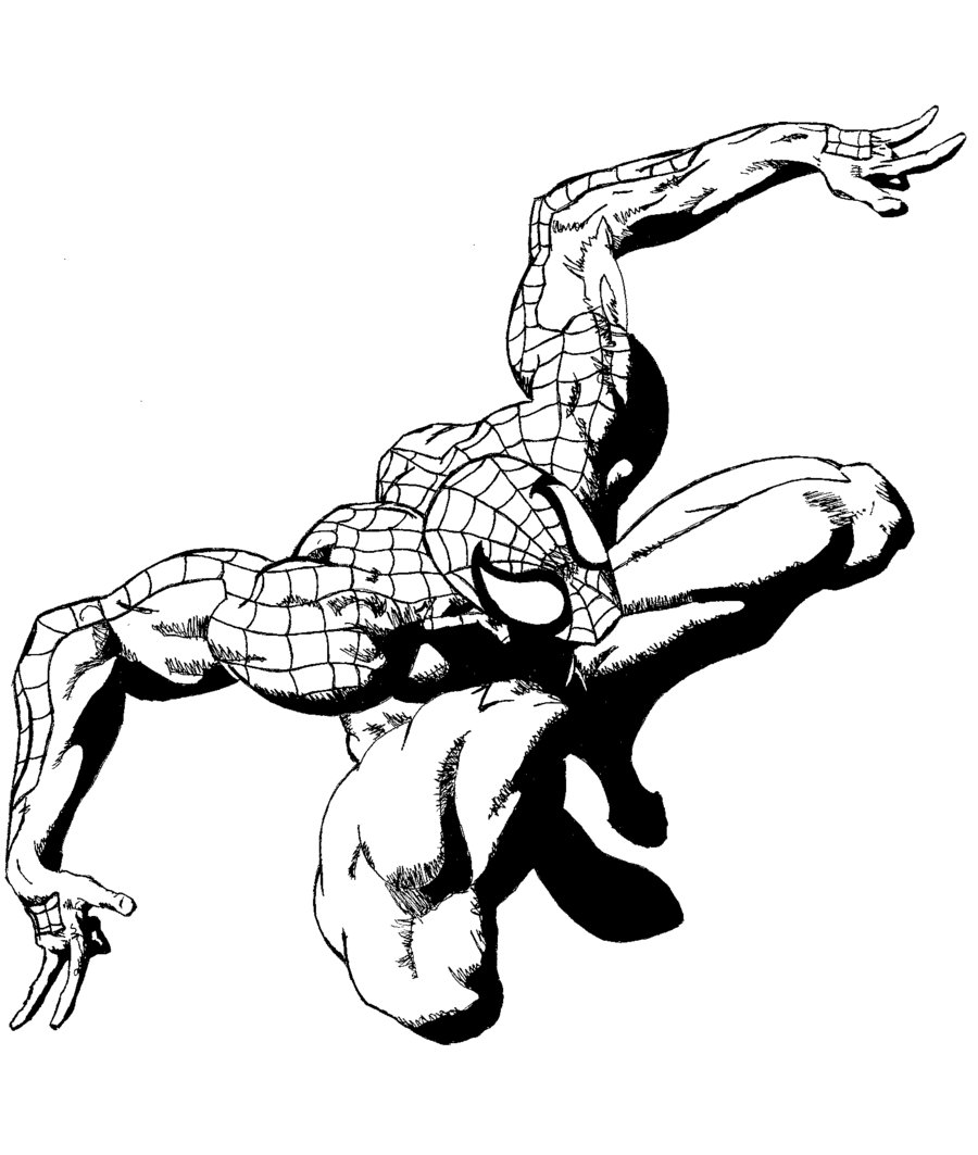 Spider Man Line Drawing at GetDrawings | Free download