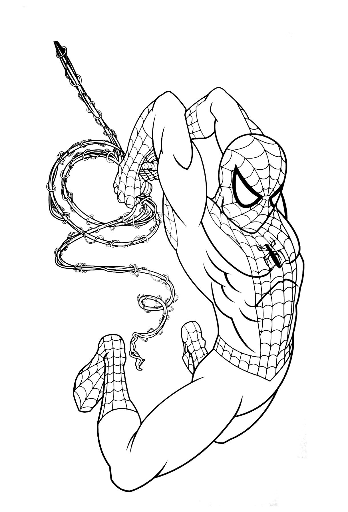 1219x1795 Spiderman Coloring Pages Hanging
