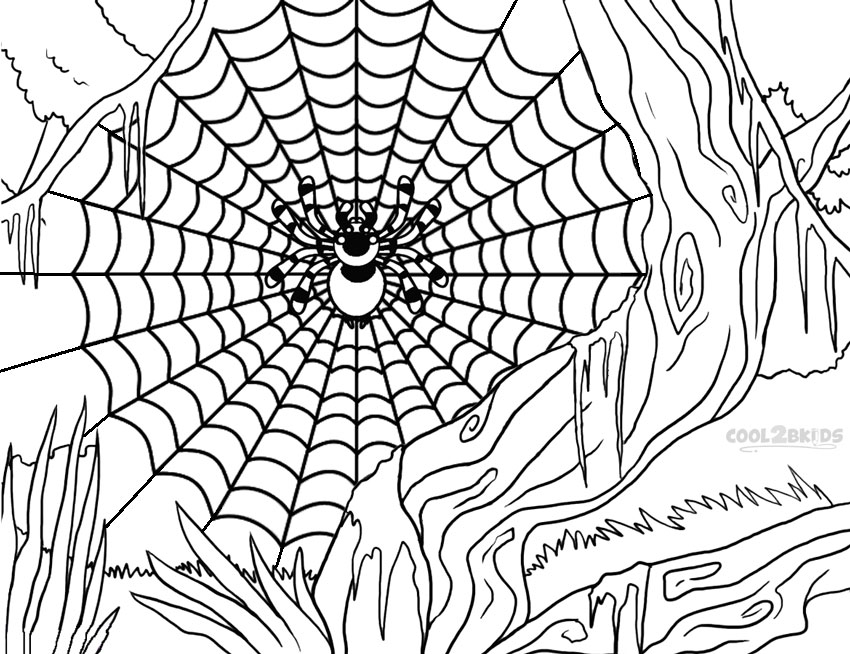 850x654 Printable Spider Web Coloring Pages For Kids Cool2bkids