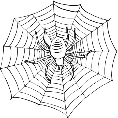 480x480 Scary Spider On A Web Coloring Page Free Printable Coloring Pages