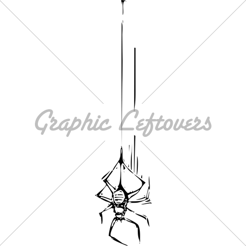 500x500 Spider Hanging From Web Drawing