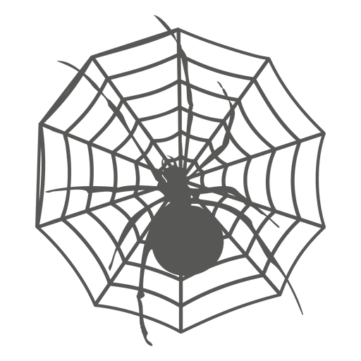 512x512 Spider On Web Silhouette