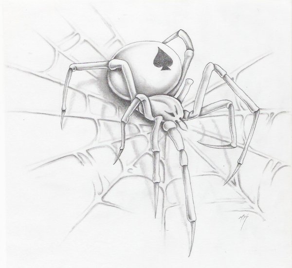 600x550 Spider A Web By Markfellows