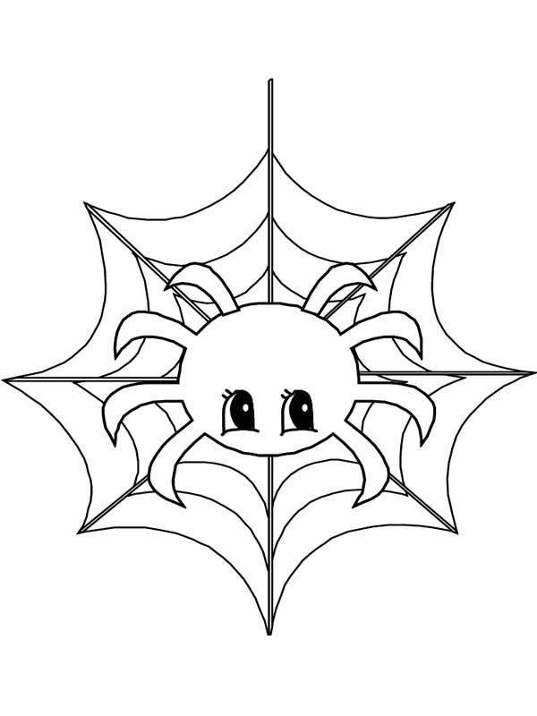 600x800 Cute Little Spider On Spider Web Coloring Page