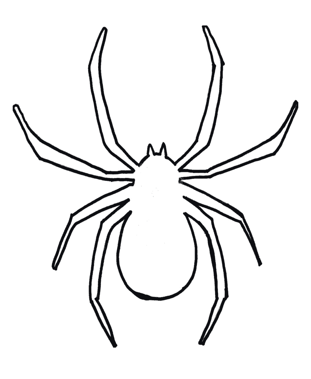 1093x1330 Spider Clipart Drawn Pencil And In Color Spider