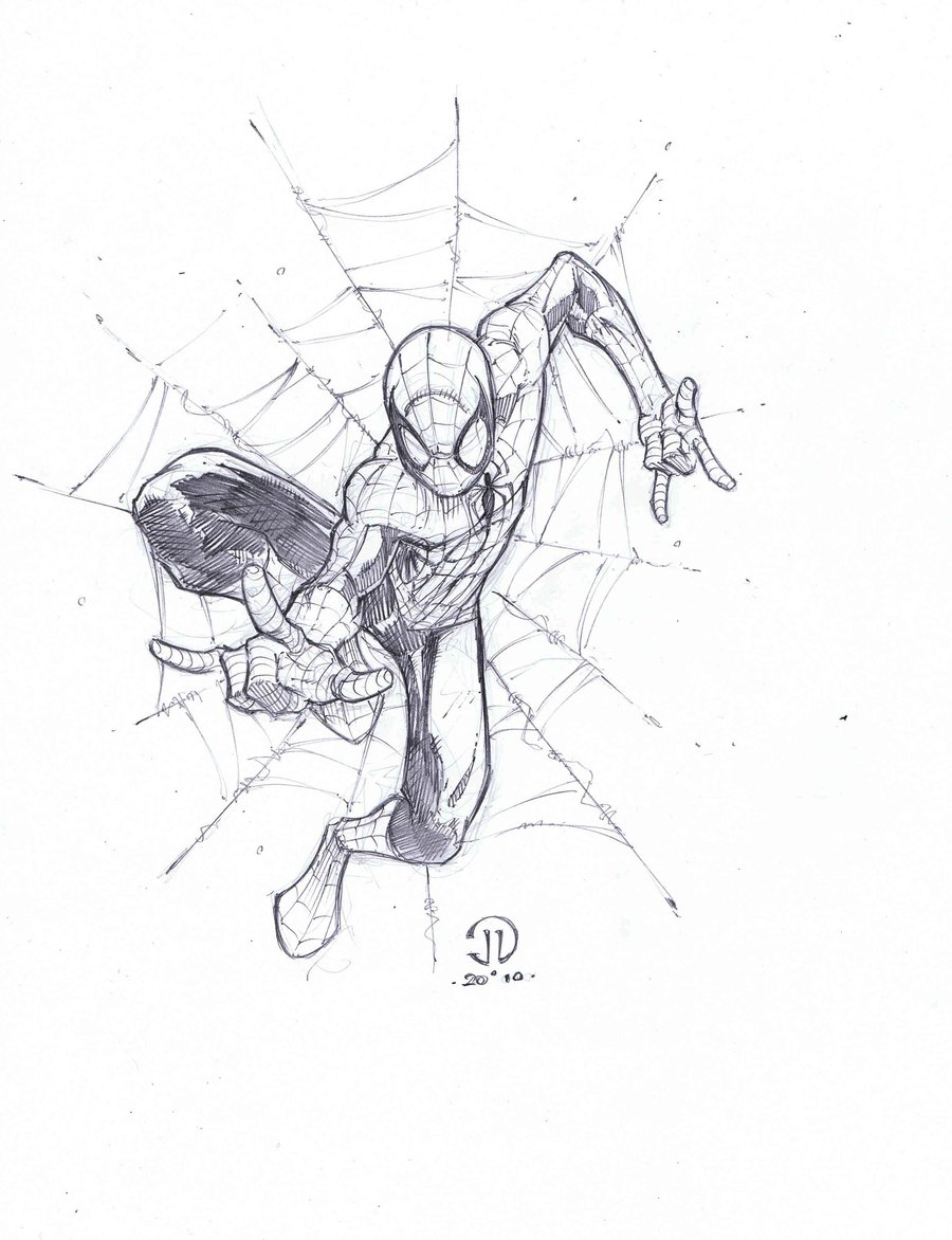 900x1172 Spiderman Quick Sketch By Joeyvazquez