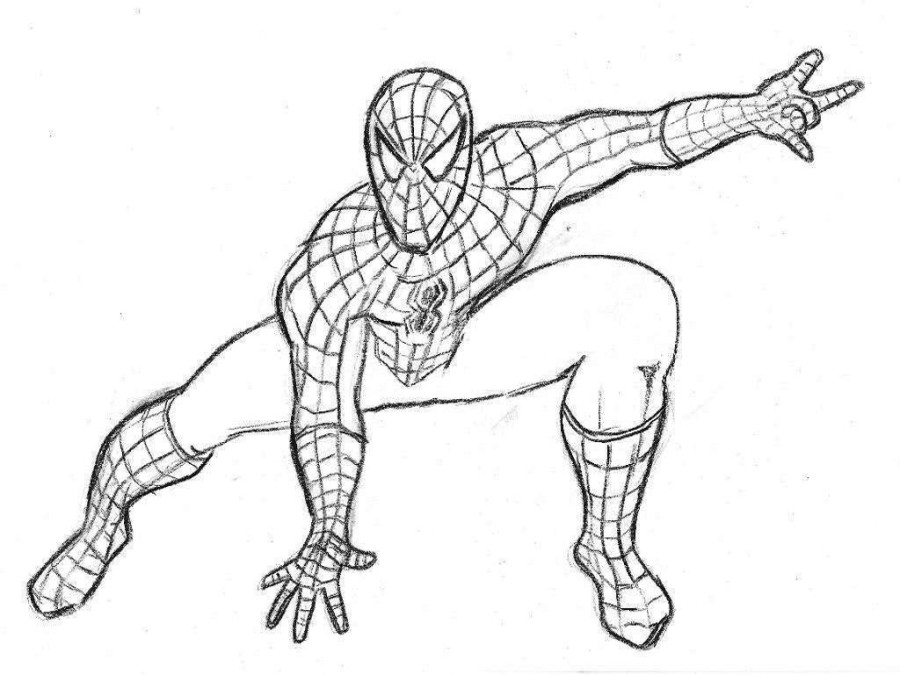 900x675 Stylist And Luxury Spiderman Drawing Book Drawn Spider Man