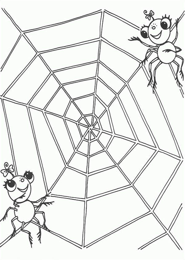600x840 A Spider Couple On The Edge Of Spider Web Coloring Page Color Luna