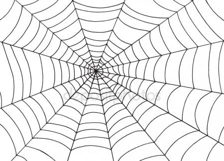 450x324 White Spider Web On Black Background, Doodle Sketch Vector Art