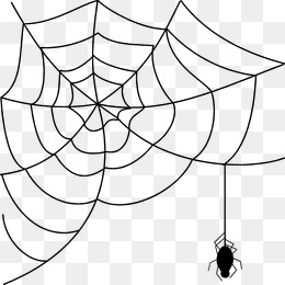 260x260 Cartoon Spider Web Png Images Vectors And Psd Files Free