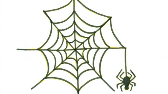 570x320 How To Draw A Spider Web How To Draw A Spider Web Tribal Tattoo