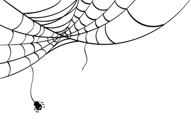 372x240 Search Photos Spider's Web