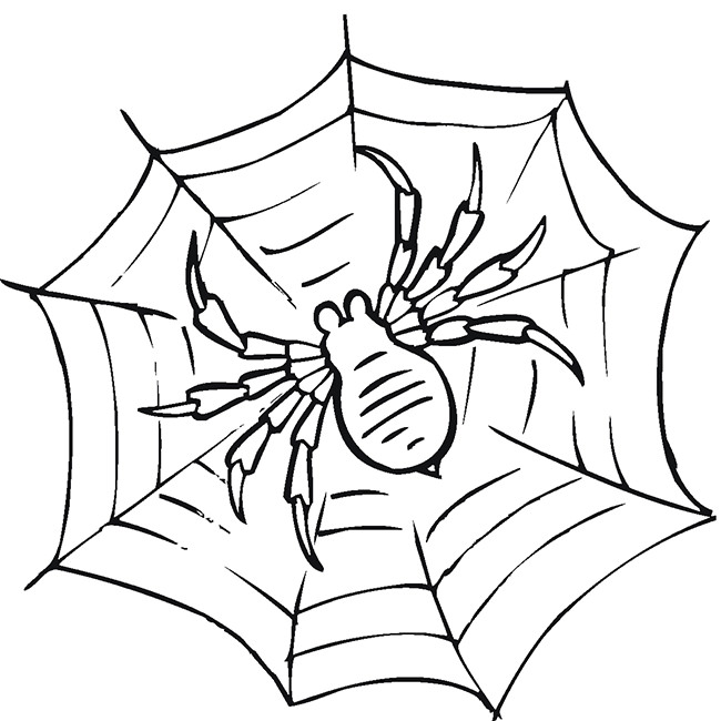 650x650 Spider Shape Template
