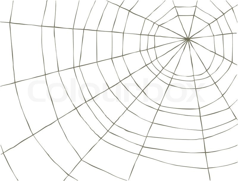 800x606 Spider Web Stock Vector Colourbox