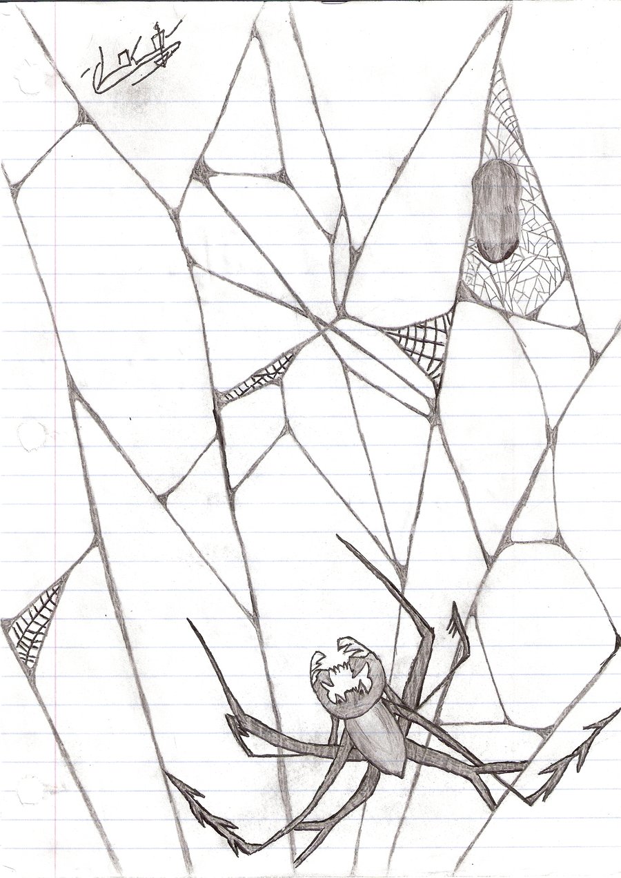 900x1272 Spider Web By Wolf3scar