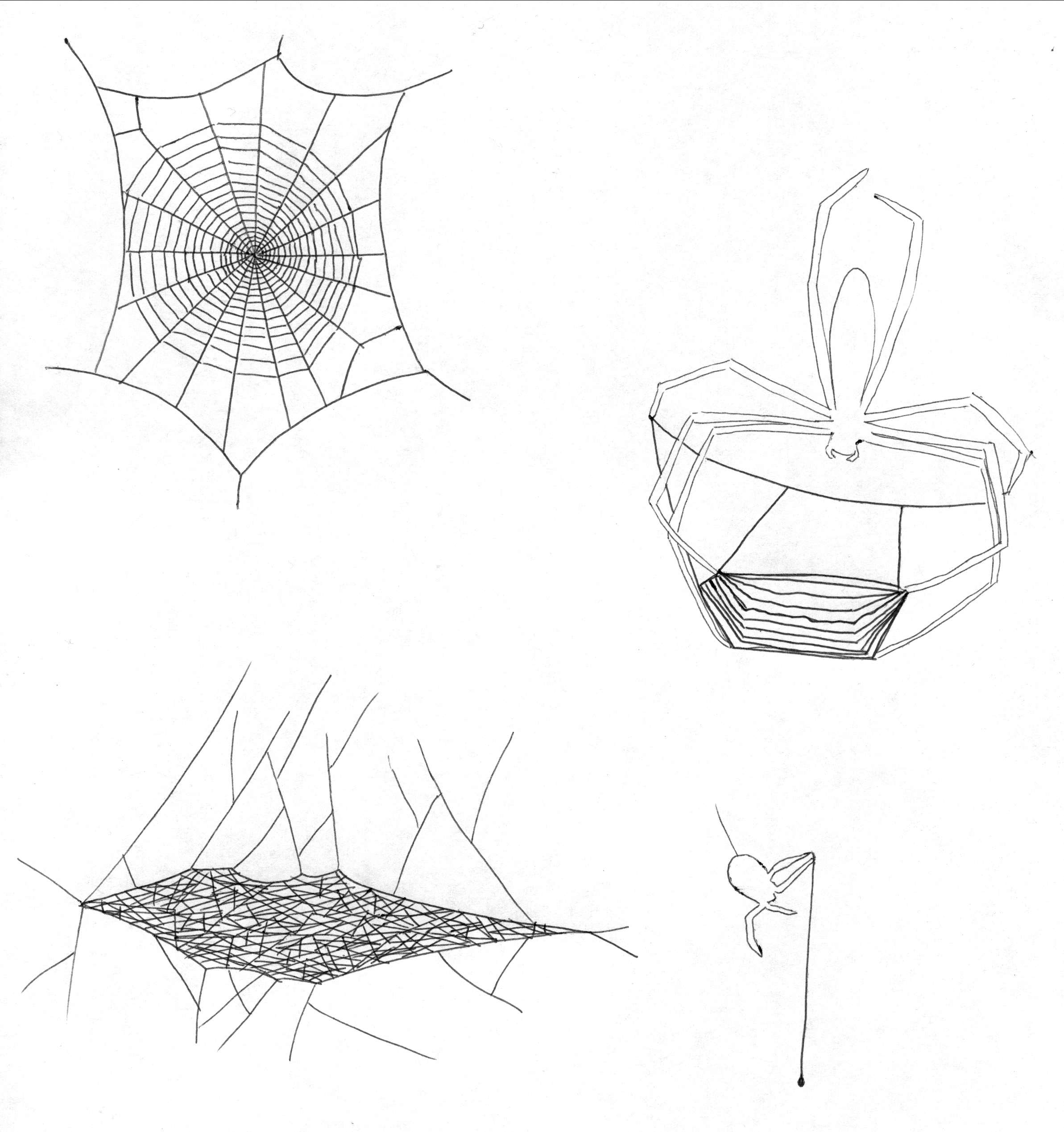 2385x2537 Spider Web Shapes Ingridscience.ca