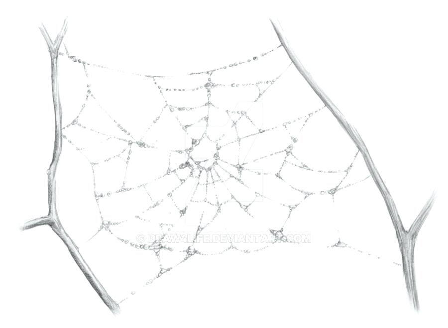 900x659 How To Draw A Spider Web Abundantlifestyle.club