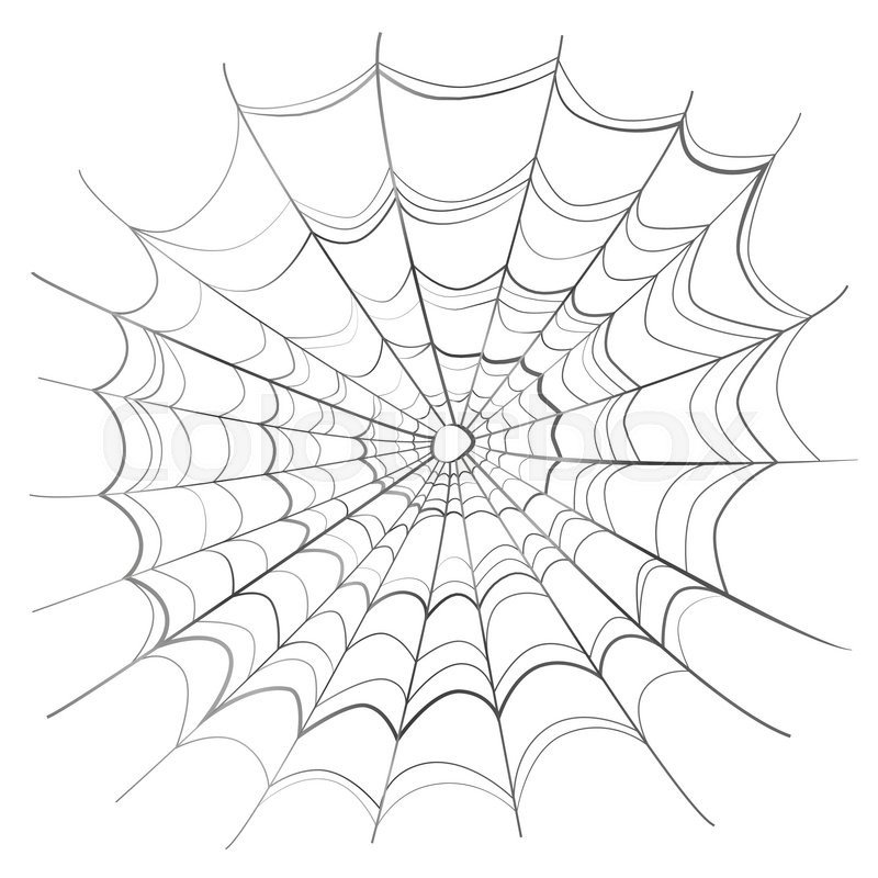 800x800 Crayon Sketched Spider Stock Photo Colourbox