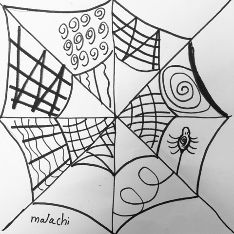 480x480 The Lost Sock Zentangles Spiderweb