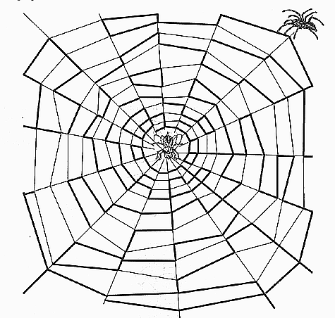 475x452 Illinois Natural History Survey Web