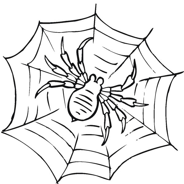 600x600 Mesmerizing Spider Web Coloring Page 88 For Coloring For Kids