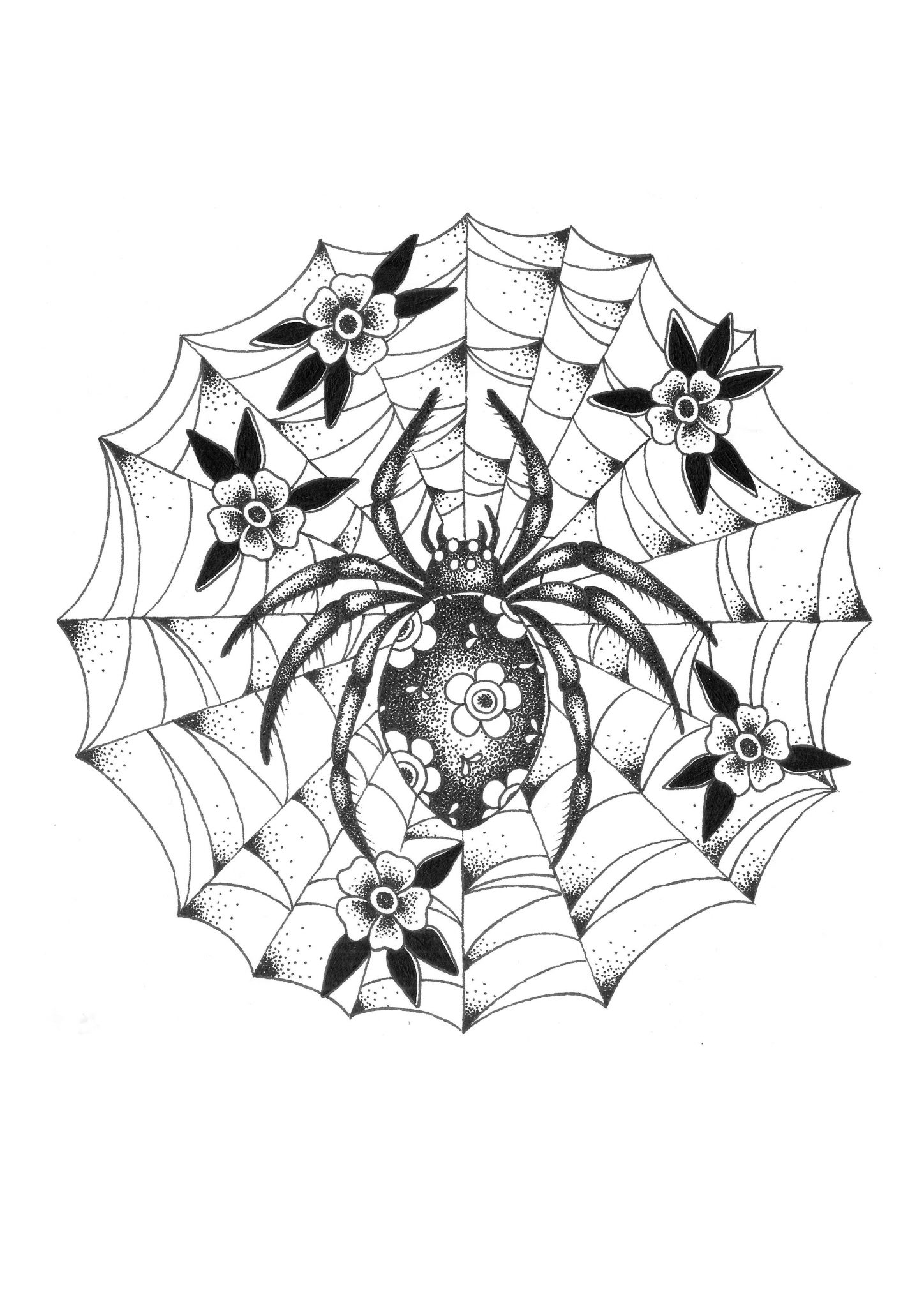 1448x2048 Spider In Flower Web Art Print Katehelenmuir