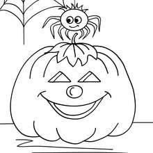 220x220 Humoristic Spiderweb Coloring Pages