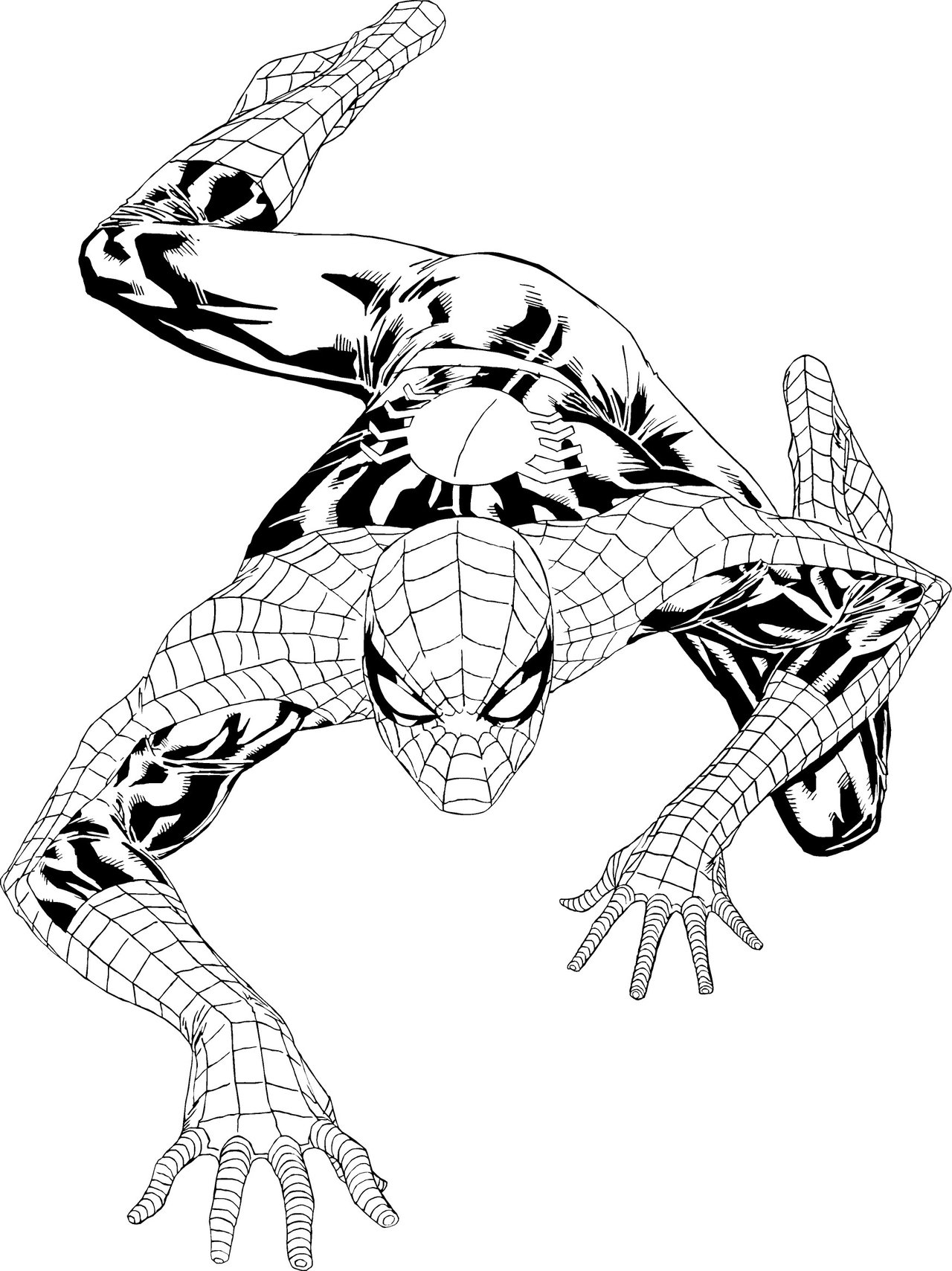 1280x1709 Drawn Spiderman