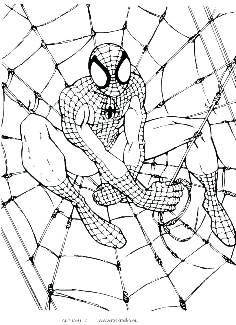 816x1123 Coloring Pages Page Free For Kids Spiderman Pdf Lego Games