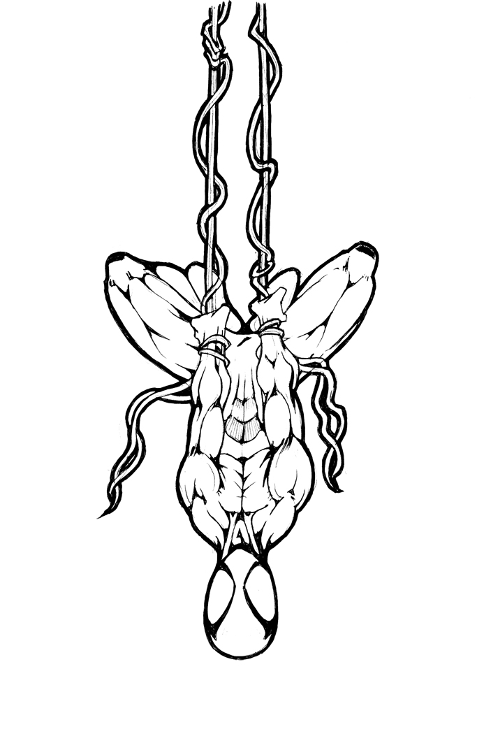 683x1050 Spiderman Blacksuit Lineart By Macky3905