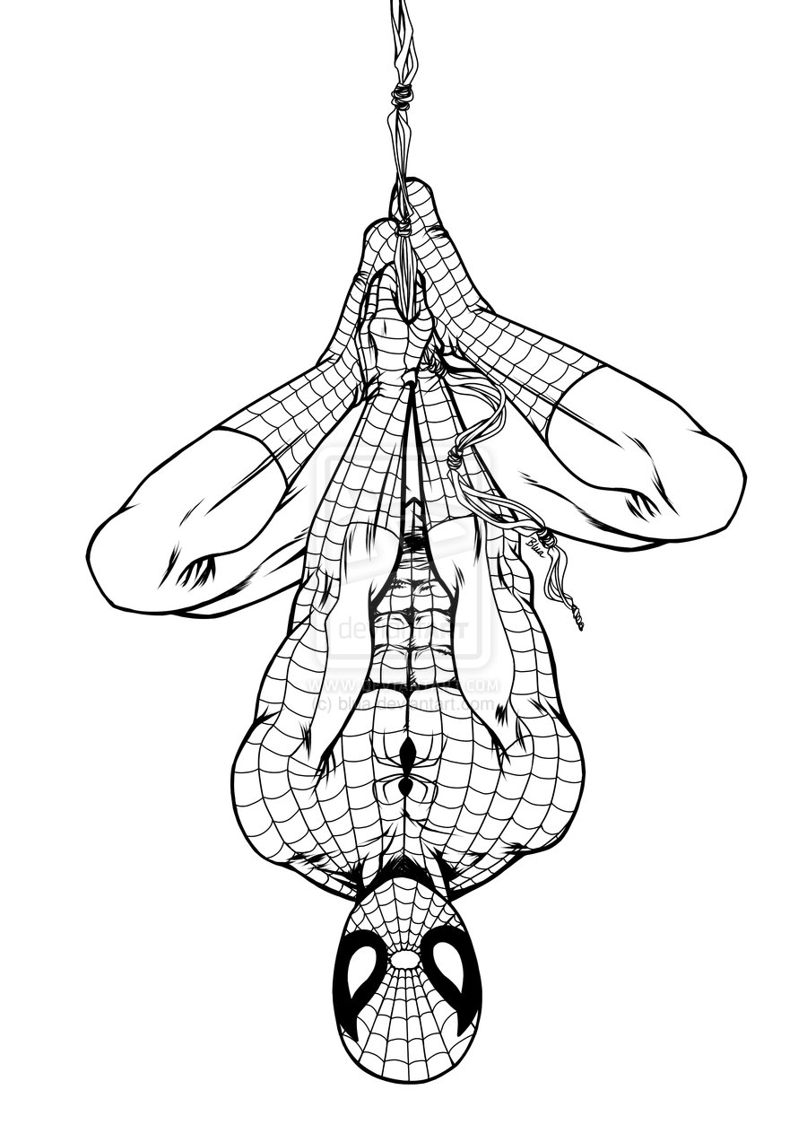 900x1273 Spiderman Cartoon Drawing Upside Down