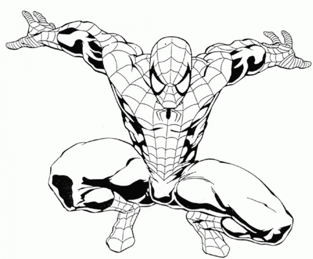 1020x843 Black And White Sketches Of Spiderman