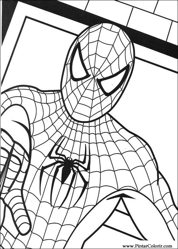 567x794 Drawings To Paint Amp Colour Spiderman
