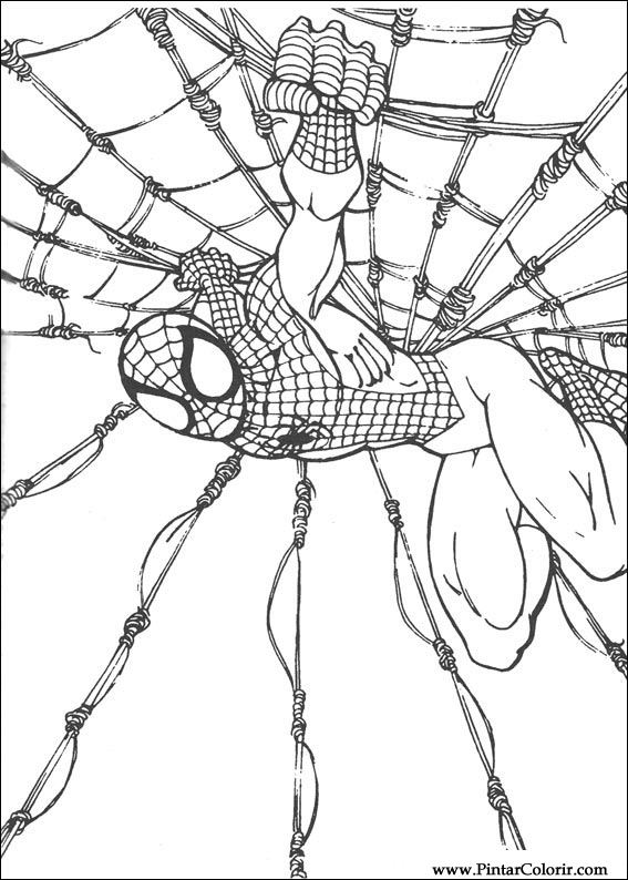 567x794 Drawings To Paint Amp Colour Spiderman