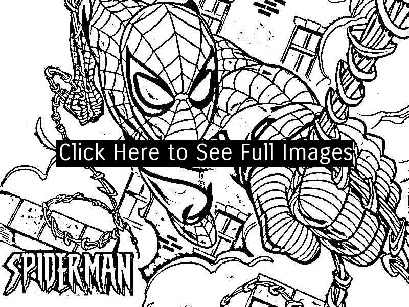 800x600 Free Printable Coloring Page Spiderman Pages Cartoons Bebo Pandco