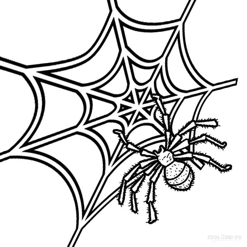 850x850 Spider Color Page Free Spider Web Coloring Pages Spiderman