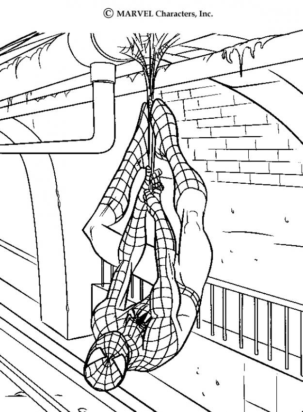 625x850 Spider Man Crafts, Colorig Pages And Activities For Kids