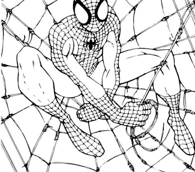 678x600 Colouring In Spiderman Kids Coloring