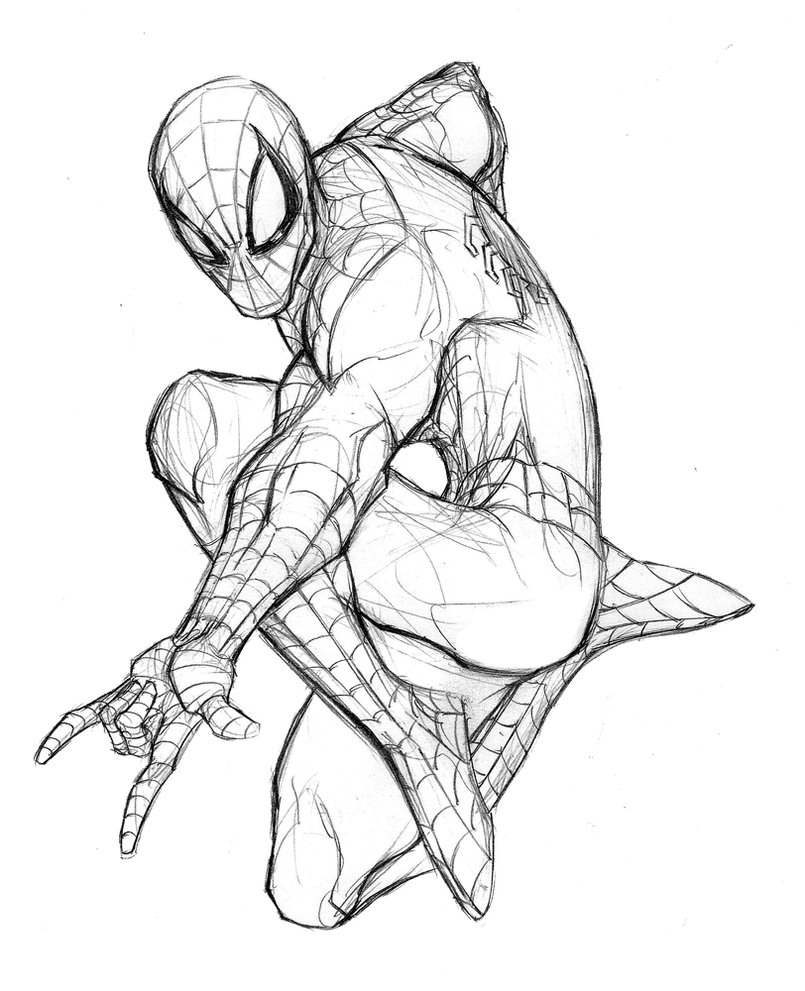 805x991 Spidermen Pencil Sketch Photos Spiderman Pencil By