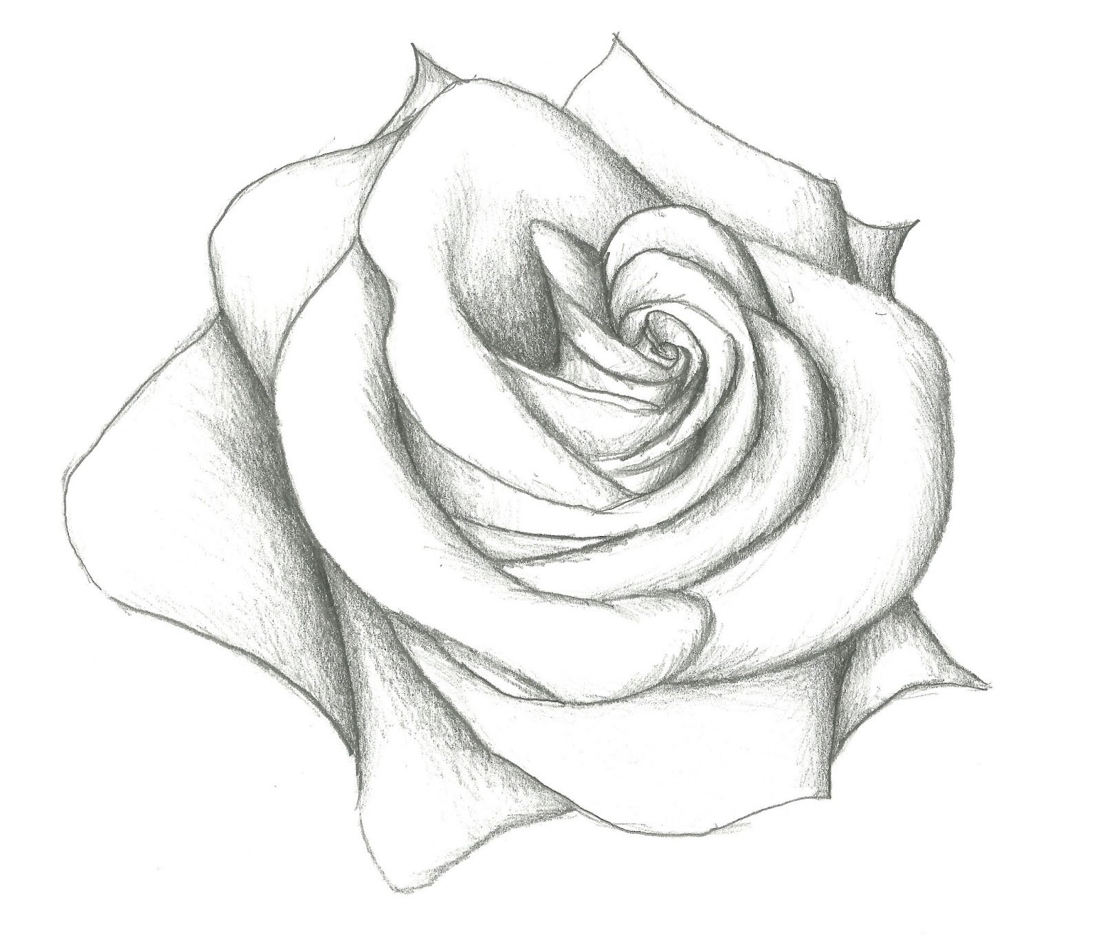 1600x1370 Gallery Easy Pencil Drawings Of Hearts And Roses,