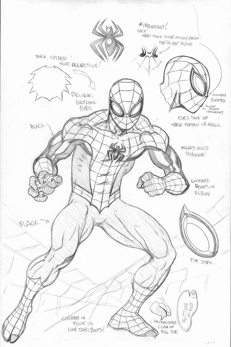736x1106 Spiderman Sketch Drawing