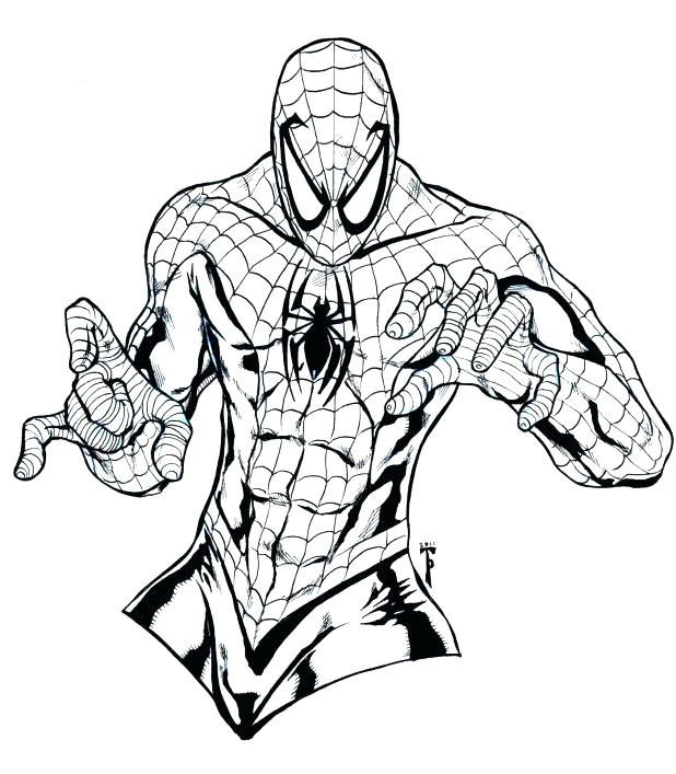 618x707 Spiderman Free Coloring Pages Synthesis.site