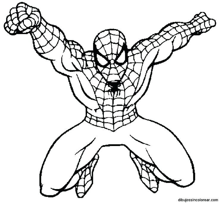 736x684 Free Coloring Pages Spiderman Synthesis.site