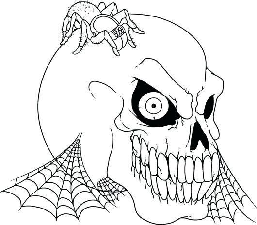 530x464 Free Printable Coloring Pages Spiderman Spider Animal Scary Skull