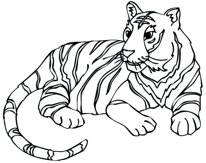 700x556 White Tiger Coloring Pages Cute Coloring Pages How To Draw A Baby