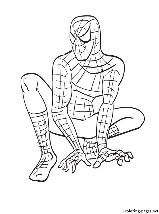 560x750 Spider Man Line Drawing For Little Boys Coloring Pages
