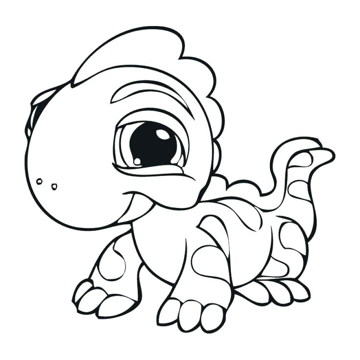 736x736 Lizard Coloring Page Drawing Lizard Coloring Pages Spiderman